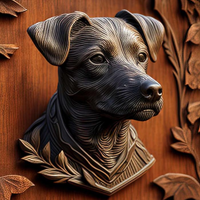 Patterdale Terrier dog